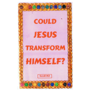 Could Jesus Transform Himself? ebook