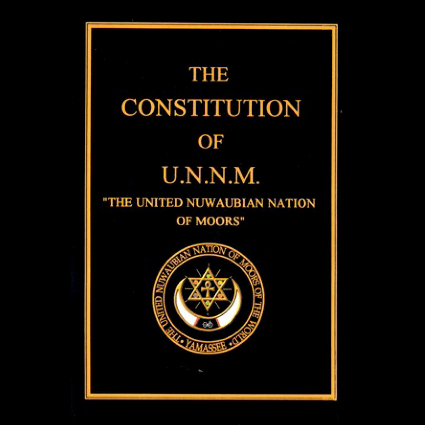 The Constitution of UNNM - ebook